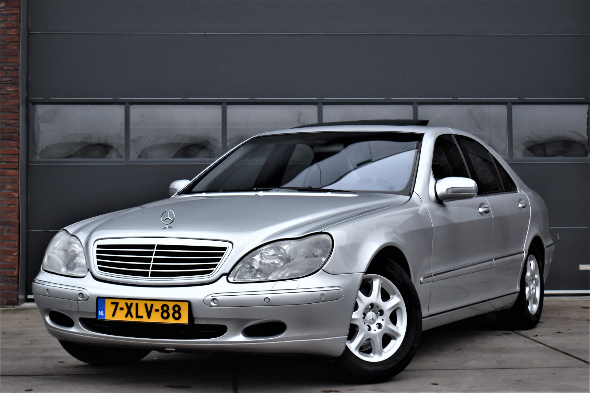 45205997-20.jpg